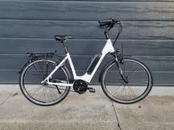 GUDEREIT EC-3.5 RT Einrohr 50 Cm Weiß Glanz 500 WH 2022