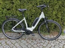 GUDEREIT EC-3 RT Einrohr 45 Cm Weiß Glanz 500 WH