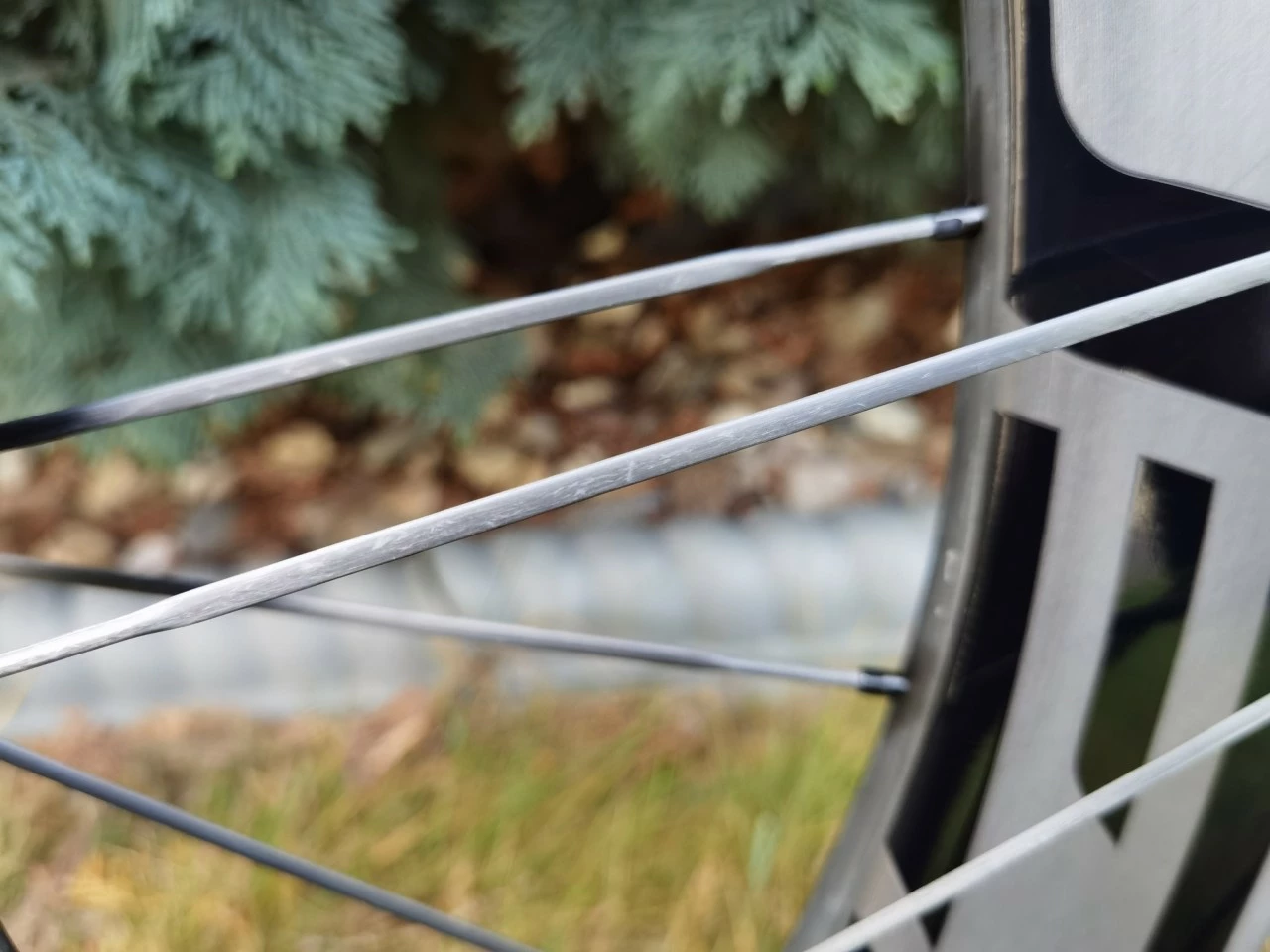 Cadex 36 Disc Carbon Tubeless Hinterrad 3 Cadex 36 Disc Carbon Tubeless Hinterrad – Bild 3