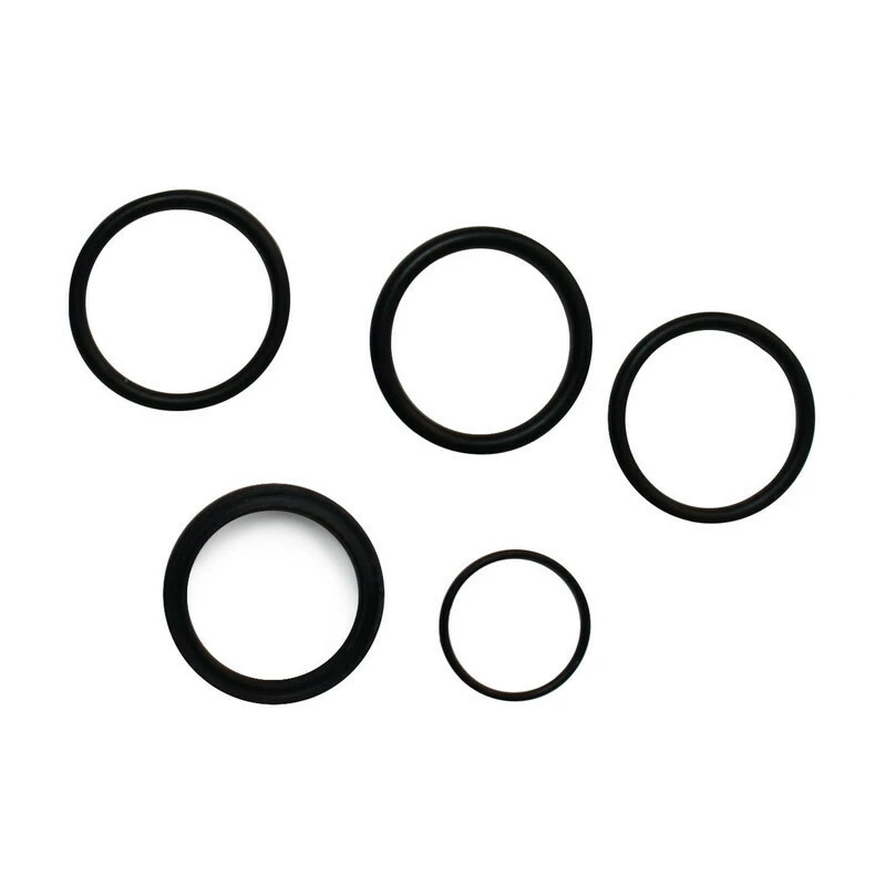 Dt-swiss DT Dichtung Kit SPSI XRC/XC Spring Side 1 Dt-swiss DT Dichtung Kit SPSI XRC/XC Spring Side